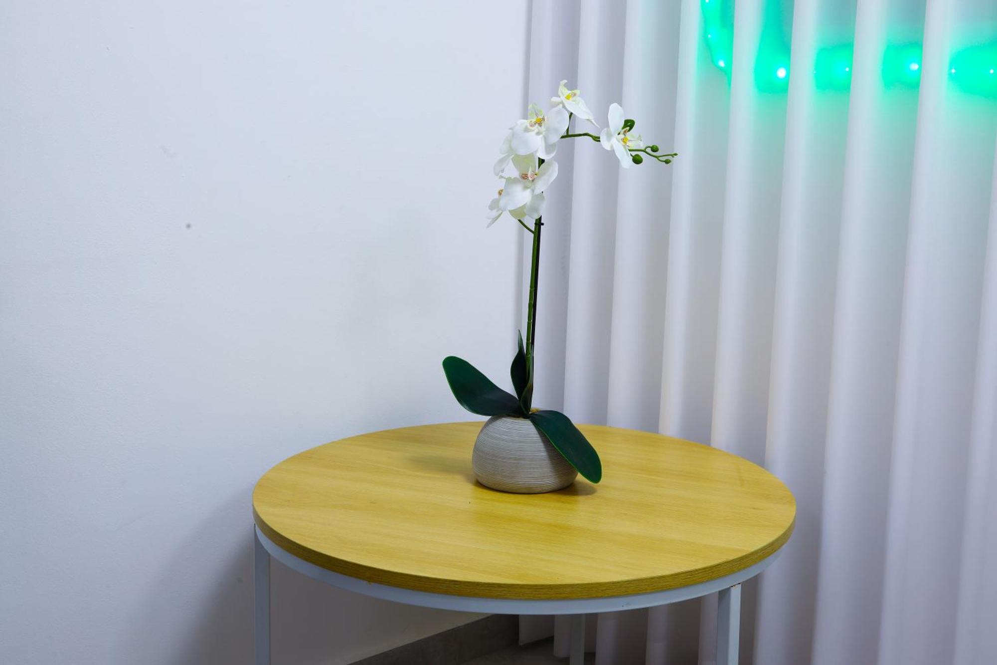 Apartment דירת יהלום חדשה ומודרנית 5 דקות נסיעה מהים Ashkelon
